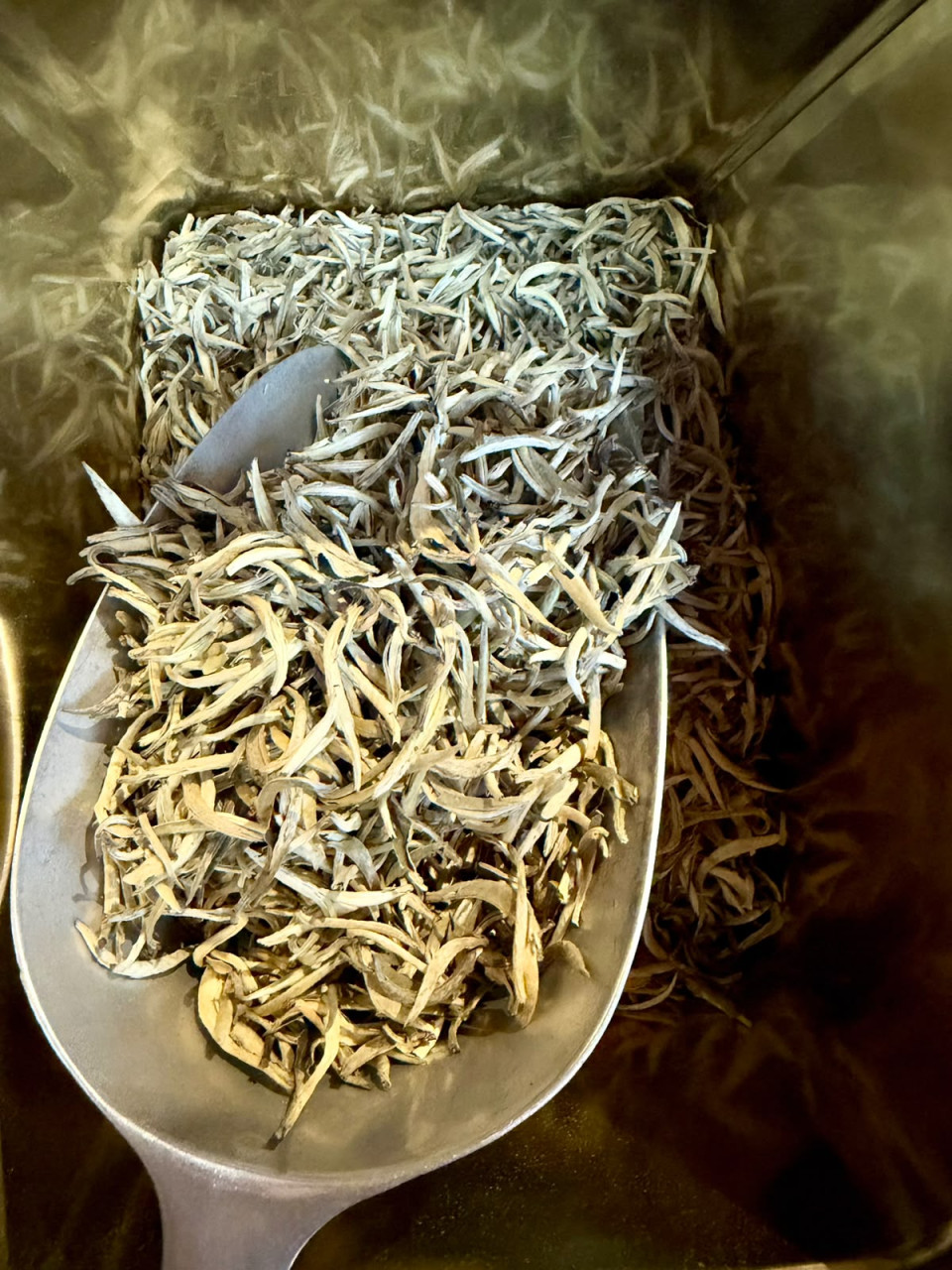 China Jasmin SilverNeedles